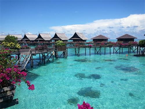 马来西亚留学,有哪些专业很吃香?(图1) 马来西亚留学,有哪些专业很吃香?